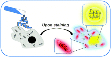 When self-assembly meets biology: luminescent platinum complexes for imaging applications