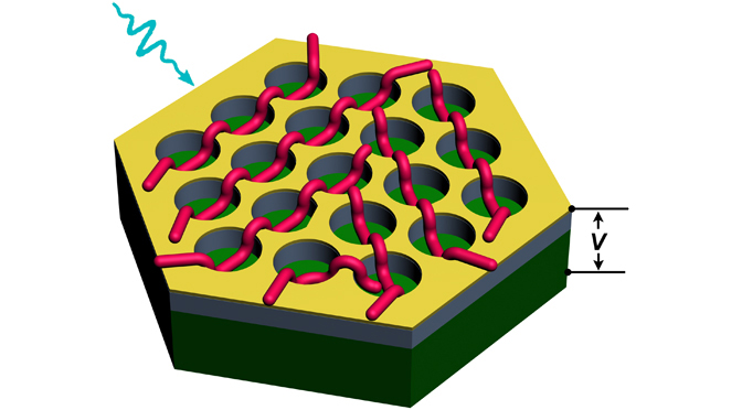 Des nanofils supramoléculaires intégrés dans des dispositifs nanostructurés pour une photodétection rapide