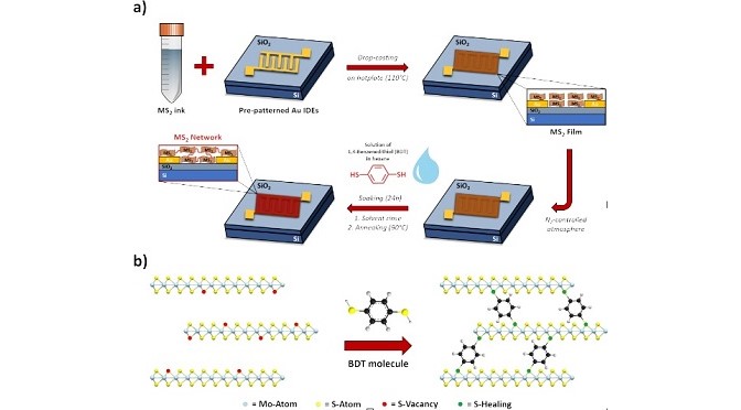 Boosting the electrical performance of 2D materials with molecular bridges