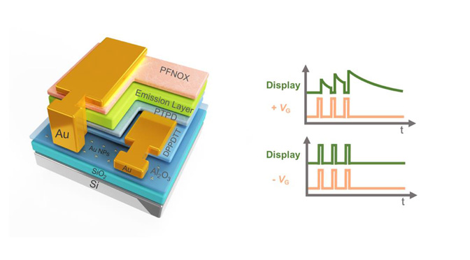 Colorful transistors controlled by voltage and pressure